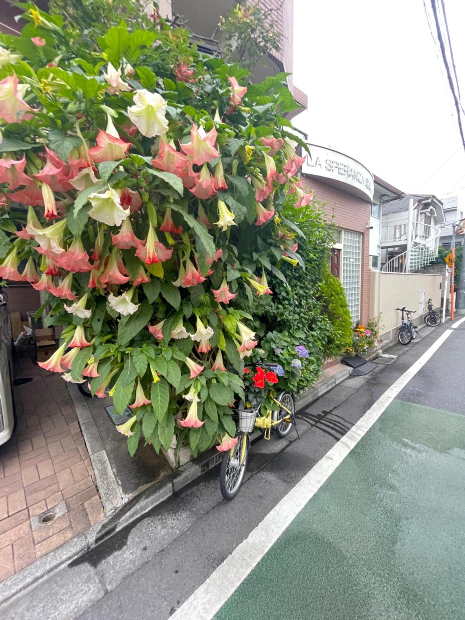 新宿庭院の屋-Shinjuku Garden Home -28 Square Meters King Size Bed Garden Room 東京都 エクステリア 写真
