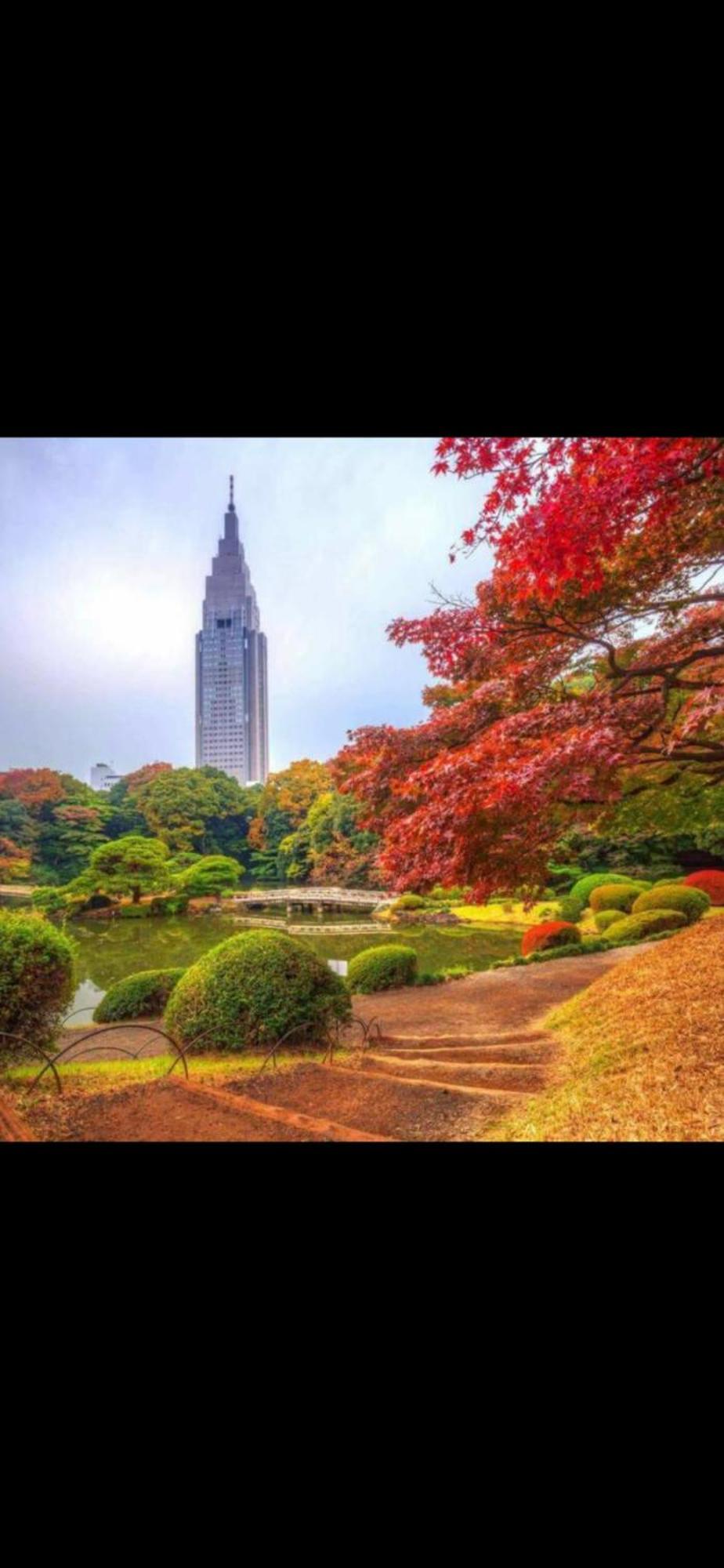 新宿庭院の屋-Shinjuku Garden Home -28 Square Meters King Size Bed Garden Room 東京都 エクステリア 写真