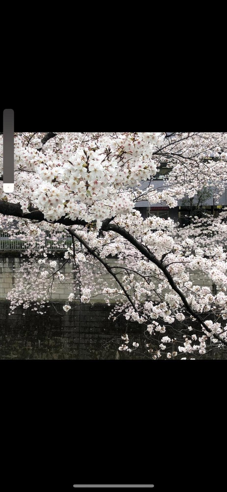 新宿庭院の屋-Shinjuku Garden Home -28 Square Meters King Size Bed Garden Room 東京都 エクステリア 写真